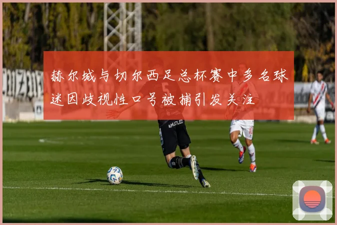 赫尔城与切尔西足总杯赛中多名球迷因歧视性口号被捕引发关注